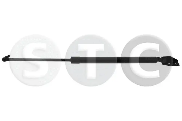 Gas Spring, boot/cargo area (T446336)