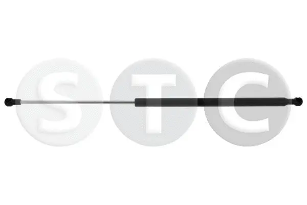 Gas Spring, rear window (T446810)