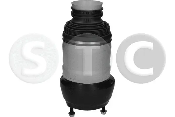 Air Spring, suspension