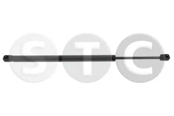 Gas Spring, boot/cargo area (T446144)