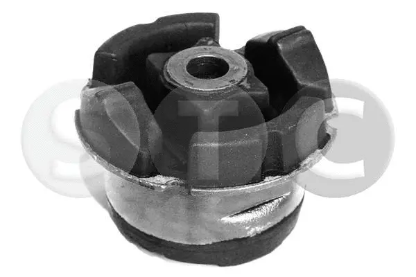 Bushing, axle beam (T405243)