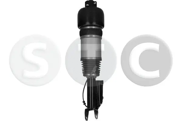 Air Suspension Strut