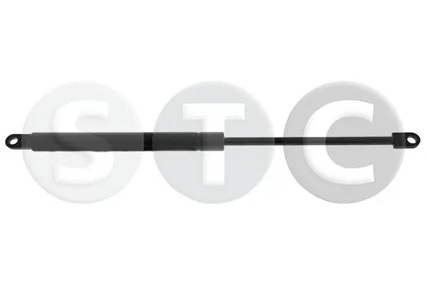 Gas Spring, boot/cargo area (T446678)