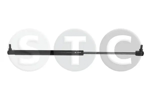 Gas Spring, boot/cargo area (T446652)