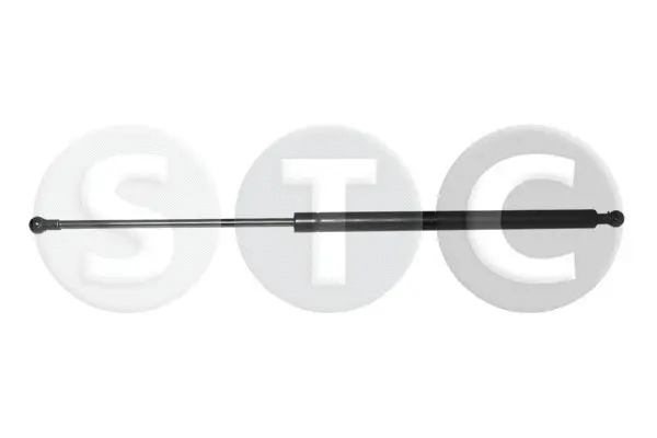 Gas Spring, boot/cargo area (T446499)