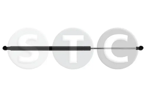 Gas Spring, boot/cargo area (T446891)