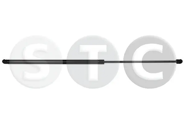 Gas Spring, boot/cargo area (T446395)