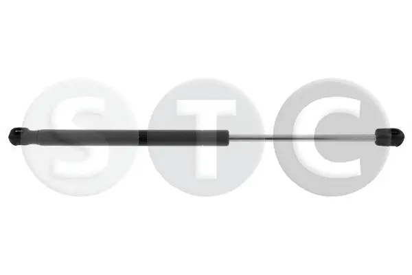 Gas Spring, boot/cargo area (T446513)