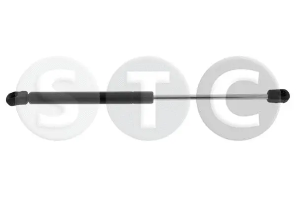 Gas Spring, boot/cargo area (T446329)