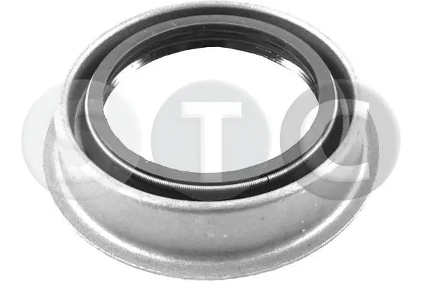 Shaft Seal, differential (T439213)