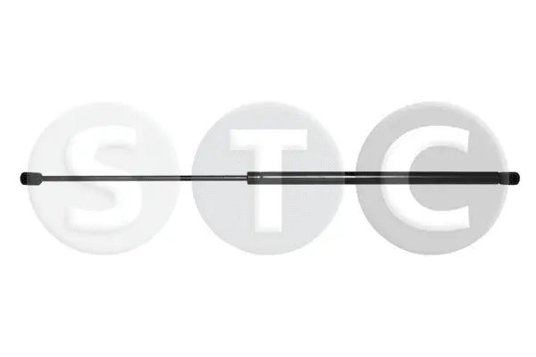 Gas Spring, boot/cargo area (T446719)