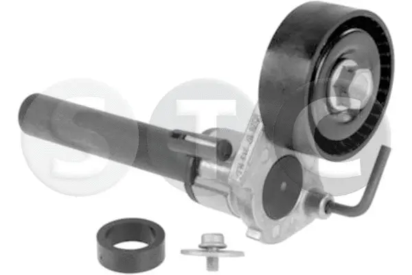 Belt Tensioner, V-ribbed belt (T449655)