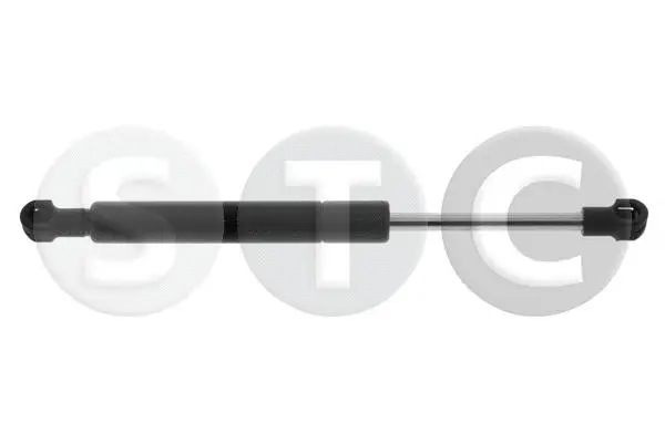 Gas Spring, bonnet (T446823)