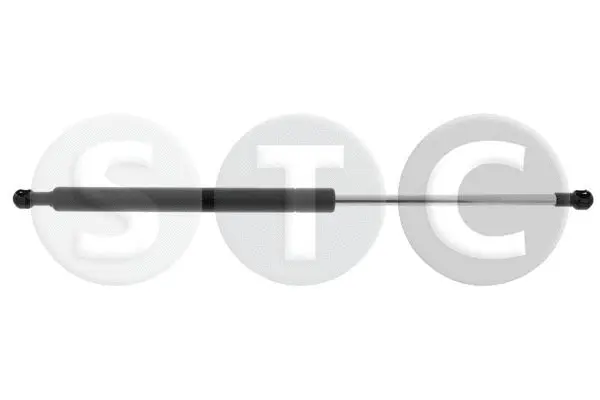 Gas Spring, boot/cargo area (T446190)