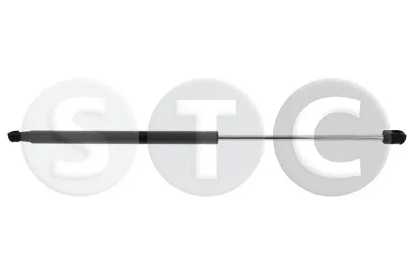 Gas Spring, boot/cargo area (T446749)