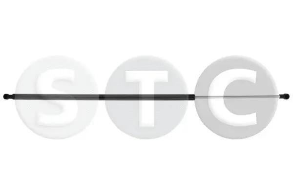 Gas Spring, boot/cargo area (T446503)