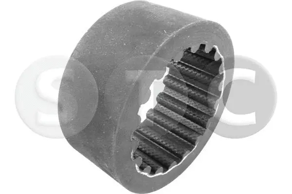 Timing Belt (T458625)