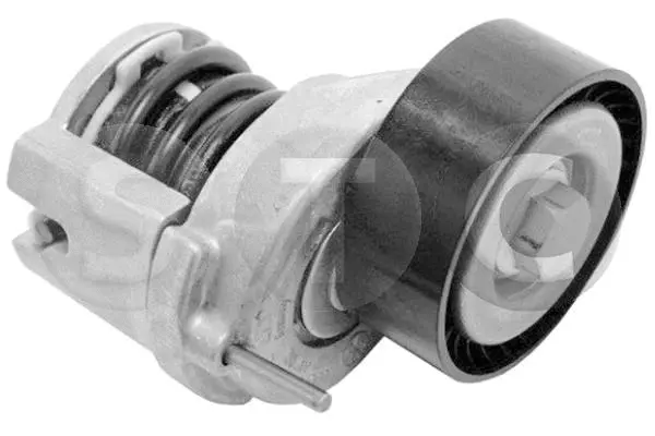 Repair Kit, v-ribbed belt tensioner (T413703)
