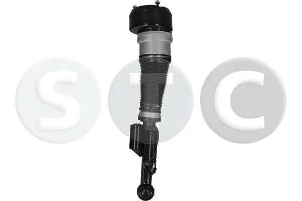 Air Suspension Strut