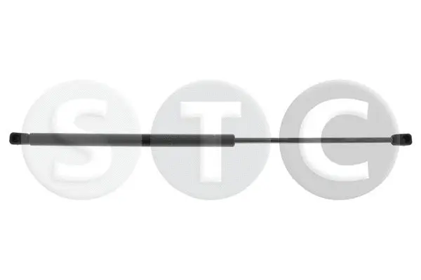Gas Spring, boot/cargo area (T446141)