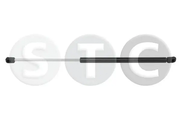 Gas Spring, boot/cargo area (T446531)