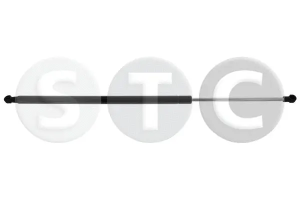 Gas Spring, boot/cargo area (T446479)