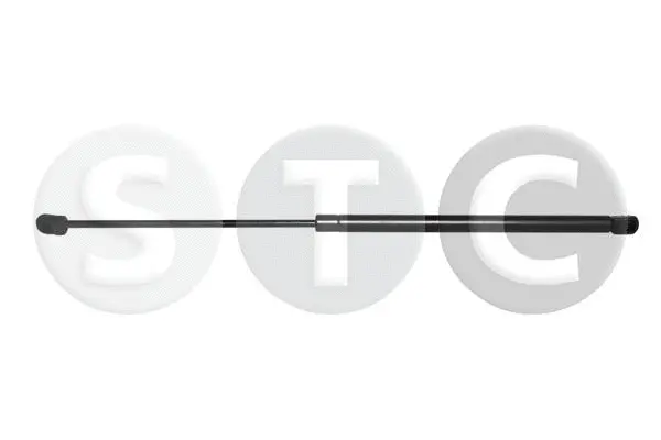 Gas Spring, boot/cargo area (T446708)