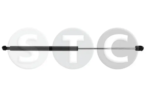 Gas Spring, boot/cargo area (T446576)