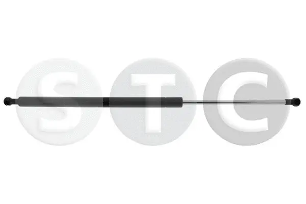 Gas Spring, boot/cargo area (T446356)