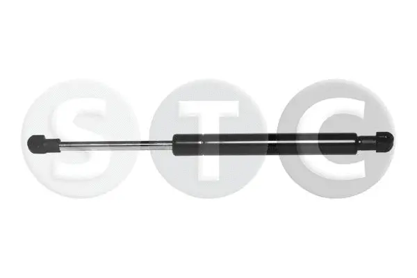 Gas Spring, boot/cargo area (T446225)