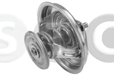 Thermostat, coolant (T431304)