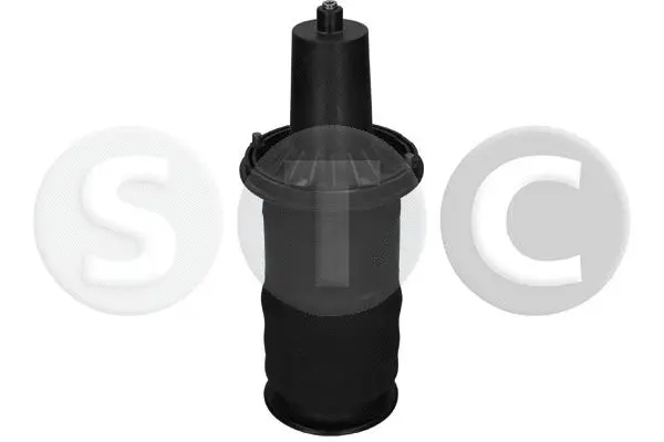 Air Spring, suspension