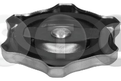 Sealing Cap, oil filler neck (T431644)