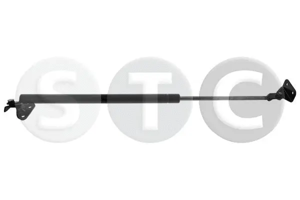 Gas Spring, boot/cargo area (T446620)