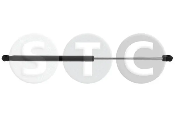 Gas Spring, boot/cargo area (T446287)
