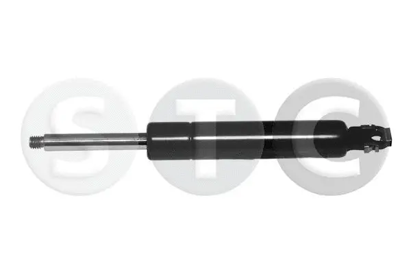 Gas Spring, bonnet (T446333)