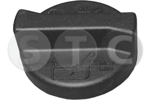Sealing Cap, oil filler neck (T403704)