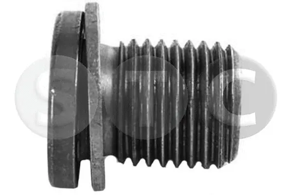 Screw Plug, oil sump (T406357)