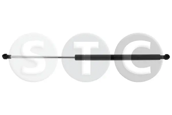 Gas Spring, boot/cargo area (T446288)