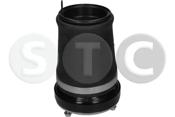 Air Spring, suspension