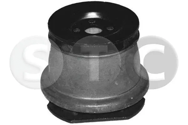 Bushing, axle beam (T405589)