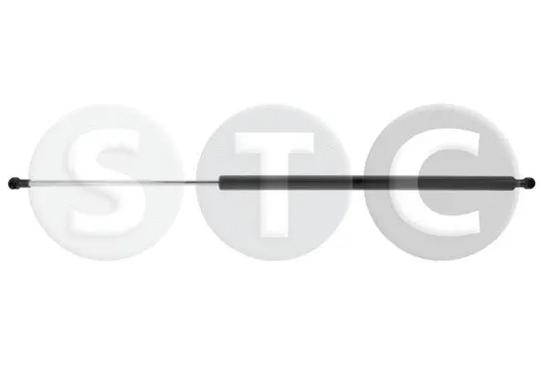 Gas Spring, boot/cargo area (T446876)