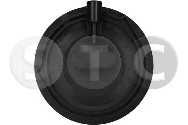 Air Spring, suspension