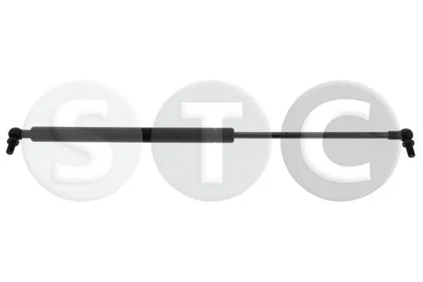 Gas Spring, boot/cargo area (T446882)