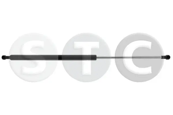 Gas Spring, boot/cargo area (T446833)