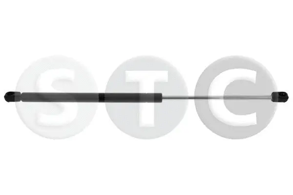 Gas Spring, boot/cargo area (T446276)