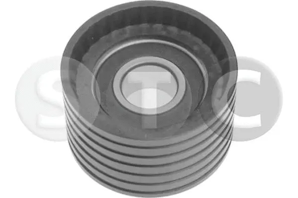 Deflection/Guide Pulley, timing belt (T449328)