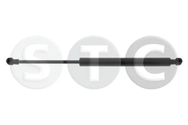 Gas Spring, boot/cargo area (T446611)