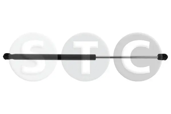 Gas Spring, boot/cargo area (T446592)