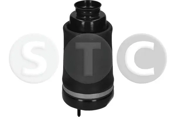Air Spring, suspension